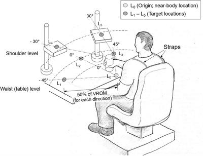 Abnormal proximal-distal interactions in upper-limb of stroke survivors during object manipulation: A pilot study